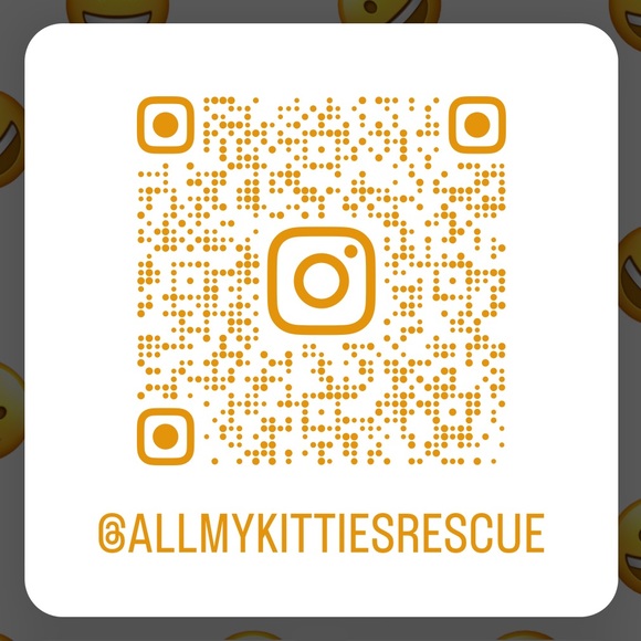 Shop to Support Kitties!💕🐾My Cause for PAWS🐾!💕 - Picture 3 of 17